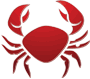 Aire Valley Advertiser: Cancer Aire Valley Advertiser: Cancer